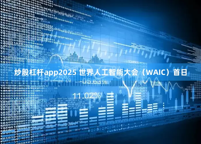 炒股杠杆app2025 世界人工智能大会（WAIC）首日