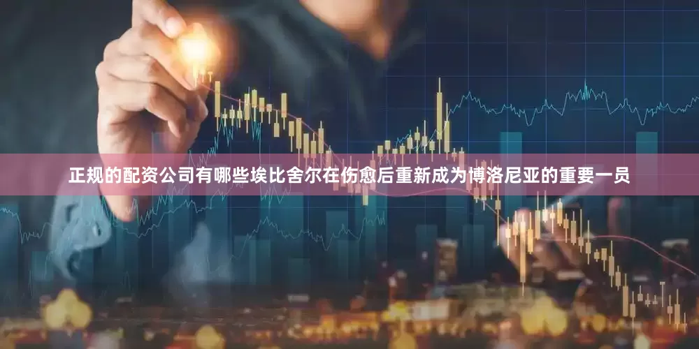 正规的配资公司有哪些埃比舍尔在伤愈后重新成为博洛尼亚的重要一员